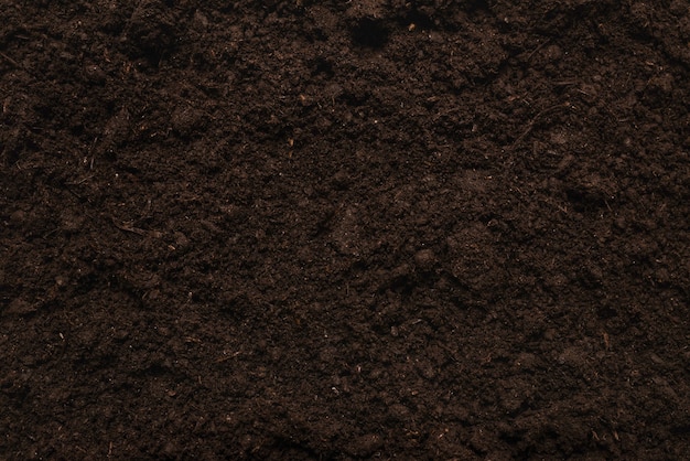 Terra nera per sfondo vegetale. vista dall'alto.