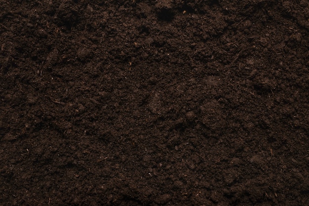 Black land for plant background. Top view.