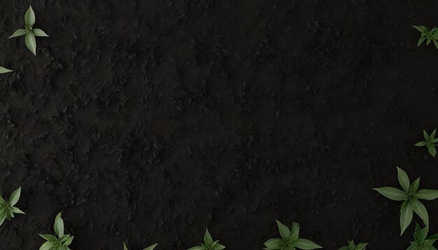 Black land for plant background top view