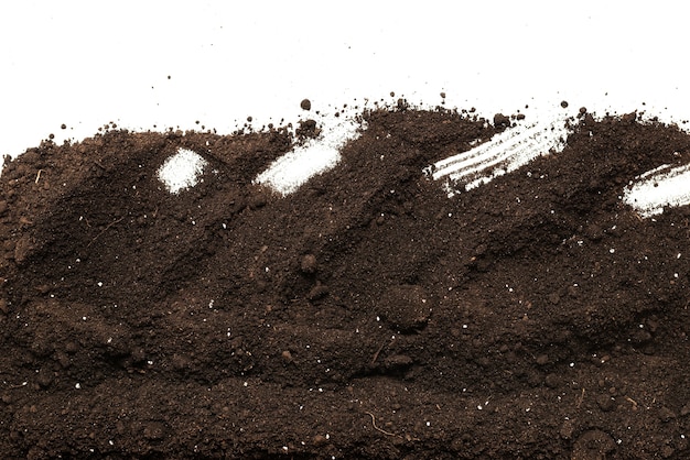 Foto terra nera per pianta isolata su sfondo bianco. portafoto. copia spazio.