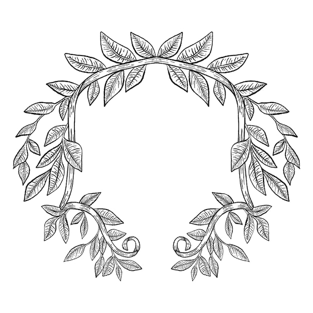 검은 잎 png 프레임 식물 그림 투명한 배경