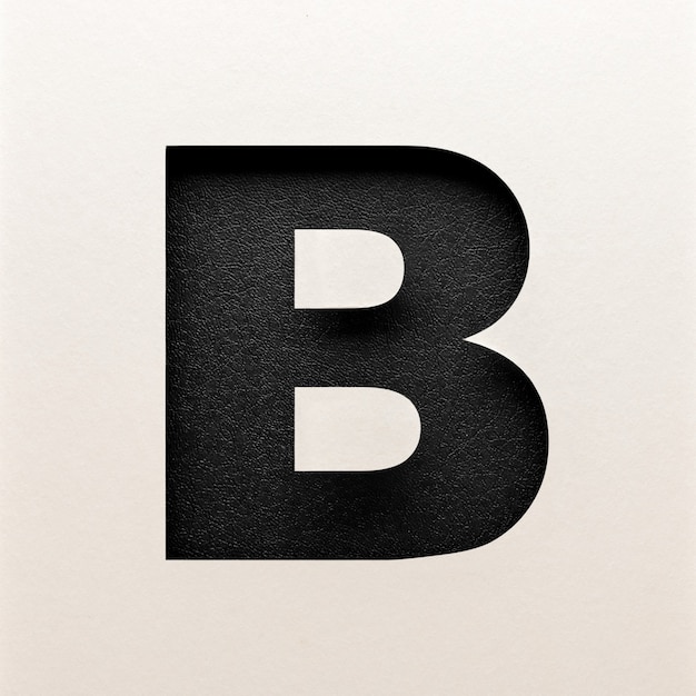 Black leather Font design, Abstract alphabet font, realistic typography - B