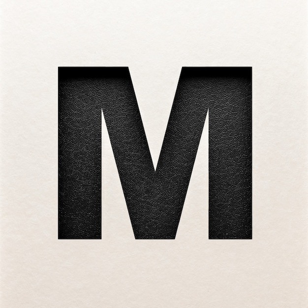 Black leather Font design, Abstract alphabet font, realistic typography - M