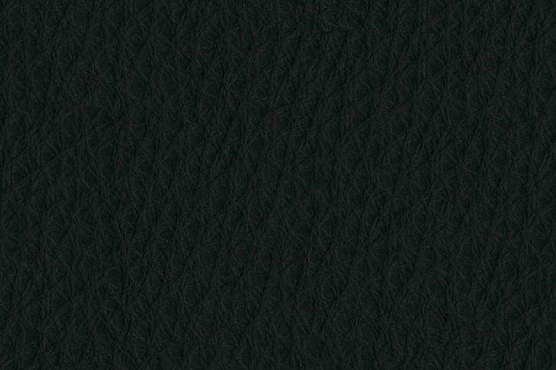 Photo black leather texture 16