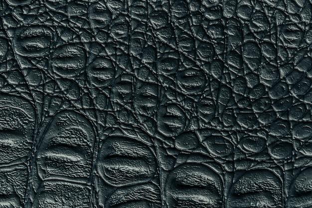 Sfondo texture pelle nera, primo piano. pelle di rettile grigio scuro, macro. struttura del tessuto di rettile.