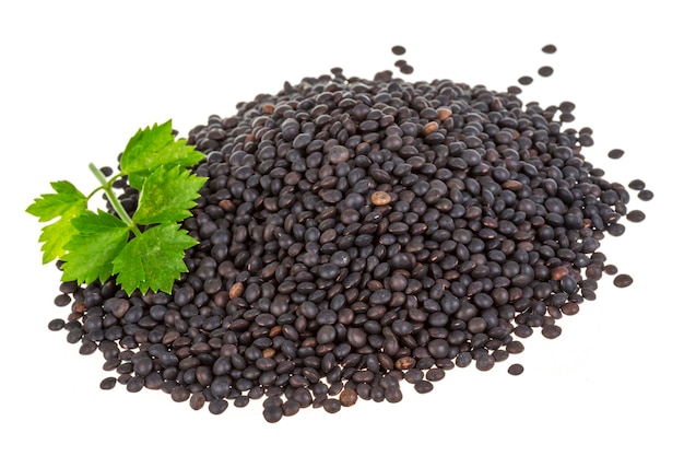 Black lentils