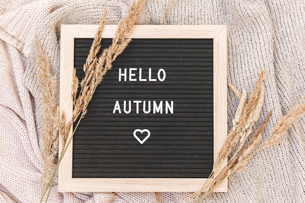 Black letter board with text phrase Hello Autumn and dried grass lying on white knitted sweater