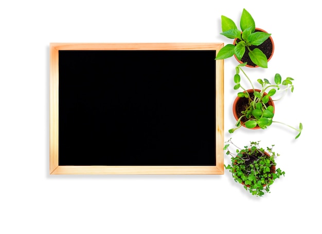 a black lettering board in the center of the page with three green plants on the side