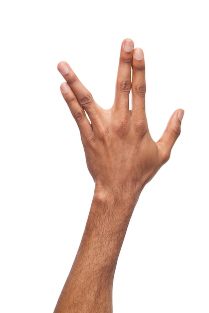 白い背景で隔離のワニの頭の形で身振りで示す黒人男性の手。動物の形