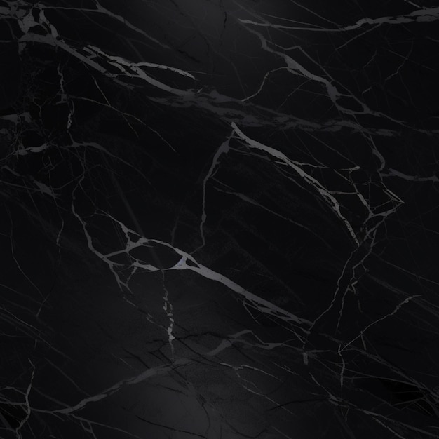 Black Marble Seamless Texture White and Black