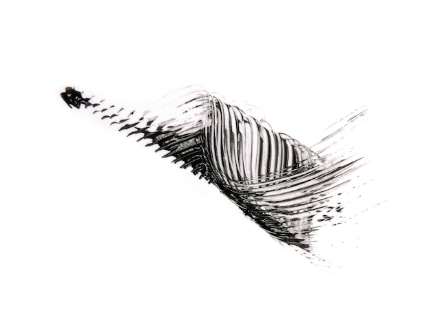 Black mascara brush stroke isolated