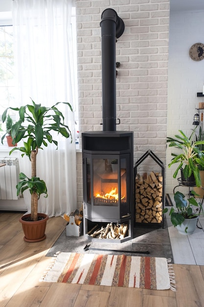 Black Metal Steel fireplace stove with fire and firewood in green home with indoor plant in flower pot in village house Cozy home hearth in interior with potted plants