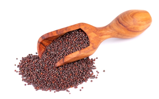 Black mustard seeds in olive scoop and spoon isolated on white background