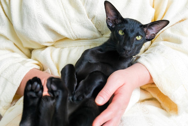 黒のオリエンタル猫と女