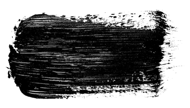 Photo black paint stroke with bristle brush swatch isolated on white background