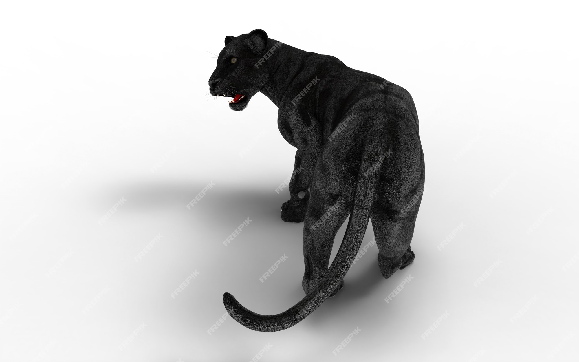 Premium Photo | Black panther isolate on white background, black tiger, 3d  illustration, 3d render