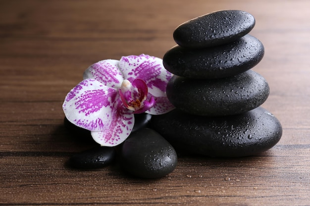 Black pebbles with orchid on wooden background