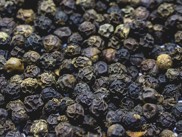 Photo black pepper grain