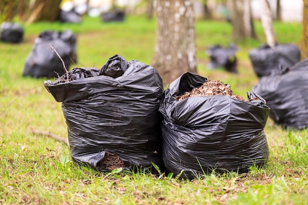 Black plastic bags with tree leaves