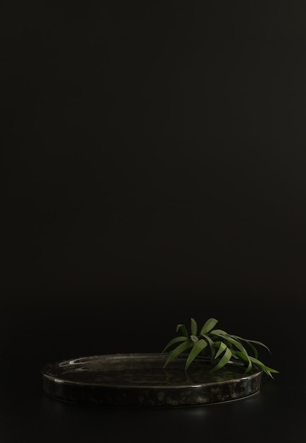 Black podium on the black background with tropical leaves and spa rocksPodium for productcosmetic