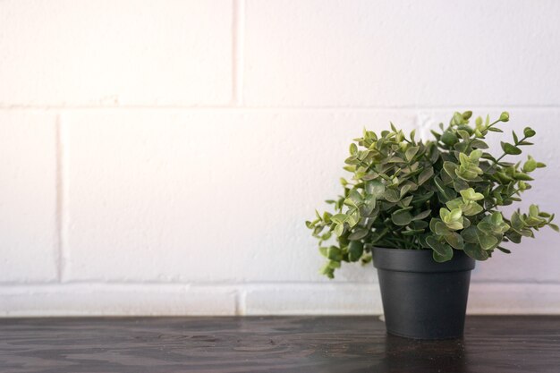 Photo a black pot of green tree plant on wooden table with white brick wall background