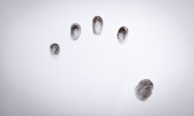 Photo black prints of fingers on paper.