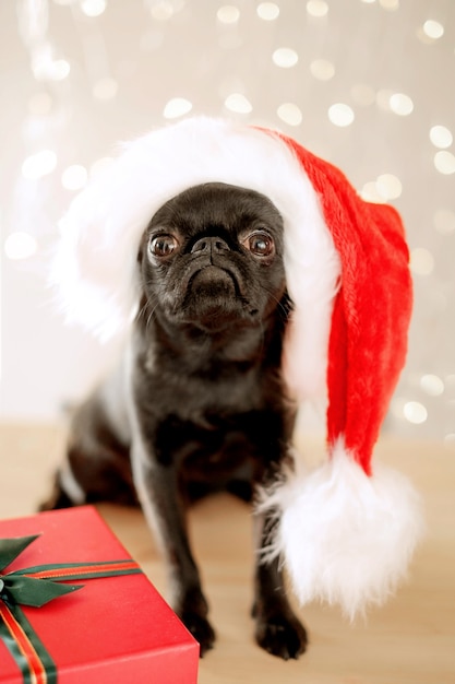 クリスマスのボケ味の背景で贈り物の近くに座っている赤いサンタ帽子の黒いパグ子犬犬