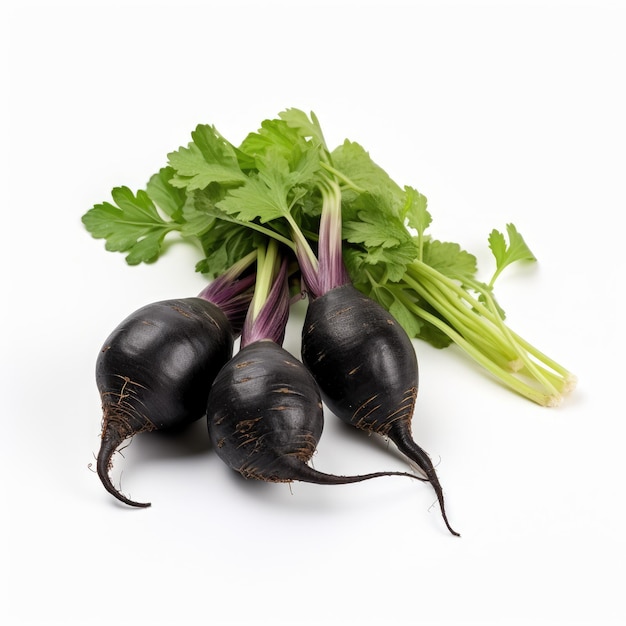 Photo black radish vegetable isolated on white background