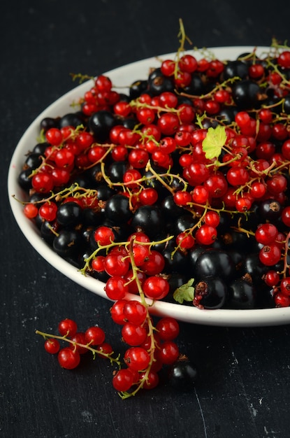 Black and red currant berries