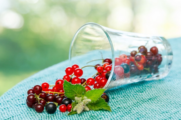 Black and red currant in the glass