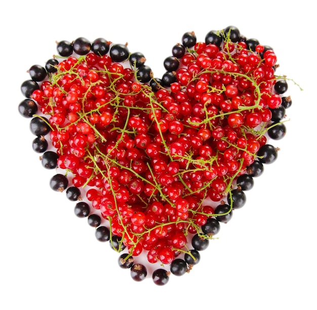 Black and red currant isolated on white