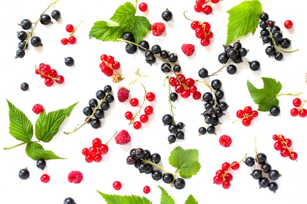 Black and red currants isolated on white