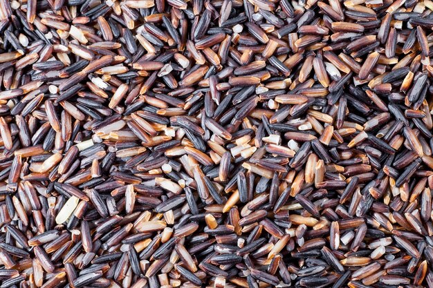 Black rice berries background.