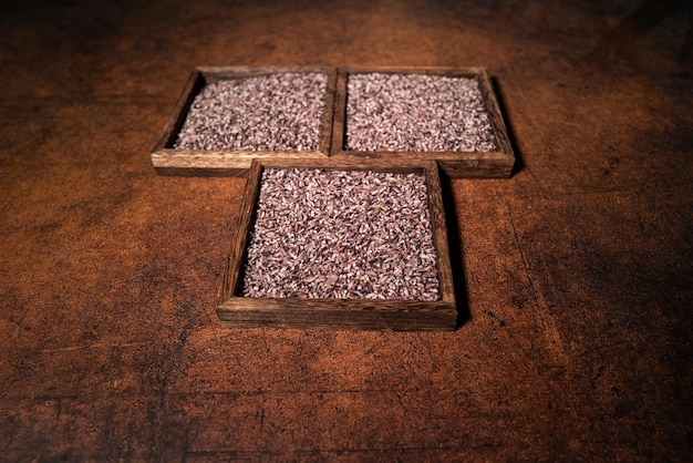 Black rice on square plates in dark light