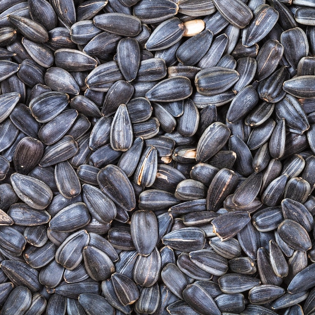 Black roasted sunflower seeds