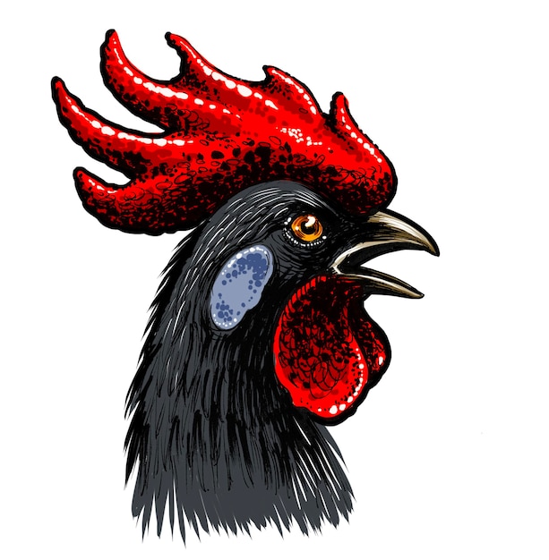 Black rooster head