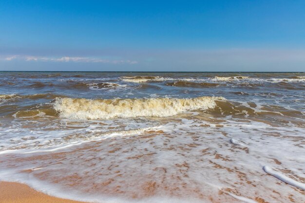 晴天の黒海 ビーチの波でサーフィン 砂浜