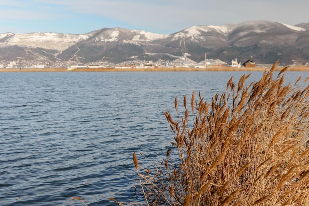 Photo black sea in winter novorossiysk russia view of the city from the shore