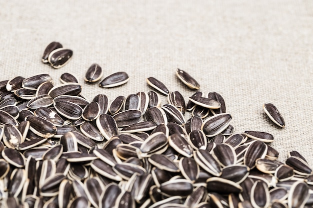 Photo black seeds with white strip.