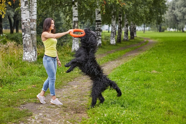 Black shaggy briard has a training with young woman with help of toy during walking in public park