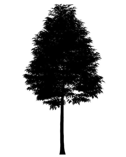 Black silhouette of deciduous tree icon isolated on white background