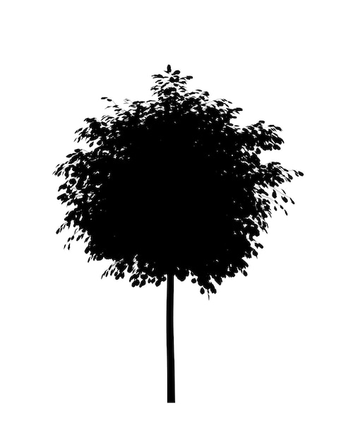 Black silhouette of deciduous tree icon isolated on white background