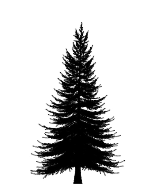 Black silhouette of Pine Christmas tree icon isolated on white background