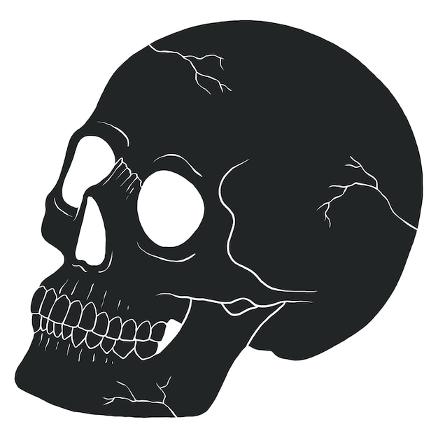 black skull png spiritual illustration transparent background