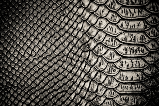 Фото Черный фон с текстурой кожи змеи