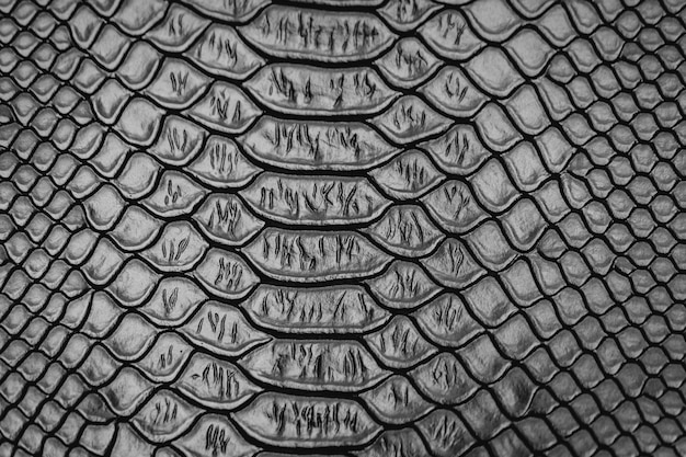 Black snake skin pattern texture background