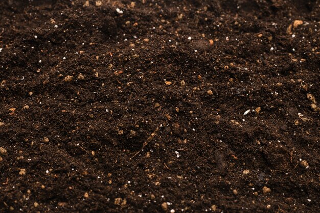 Черная почва для растений фона