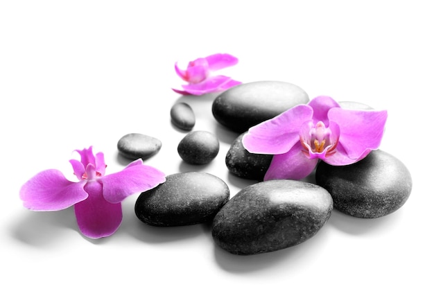 Black spa stones and orchids isolated on white