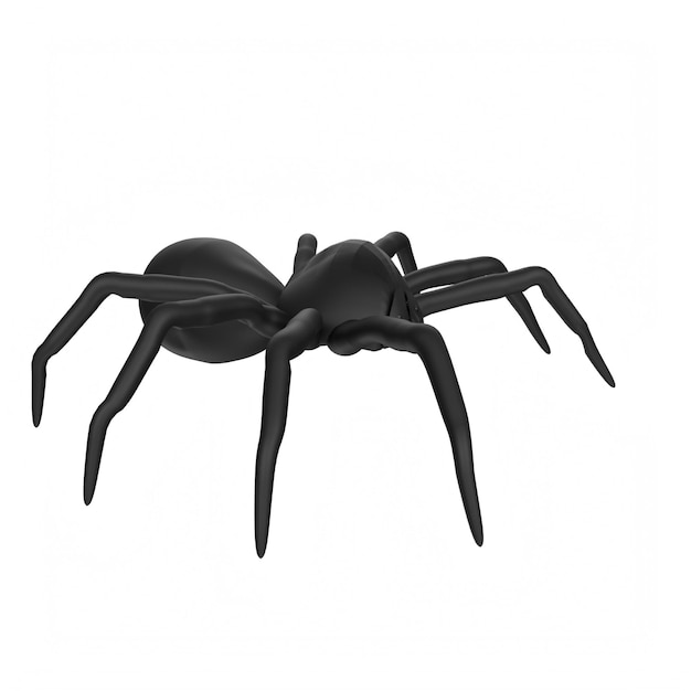 A black spider is on a white background with a white background.