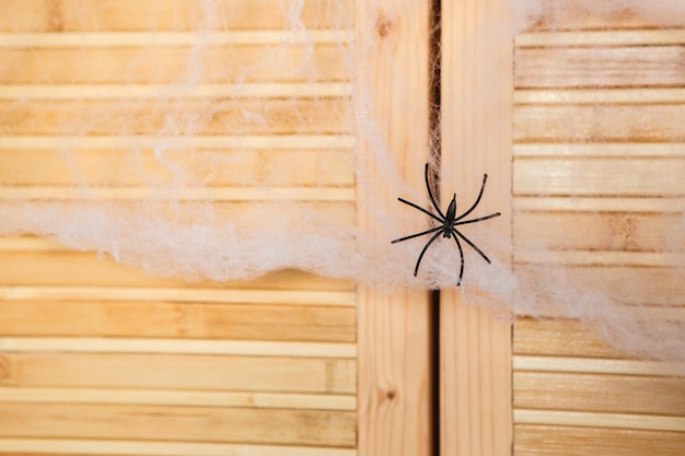 Black spider toy on wooden wall with artificial cobweb